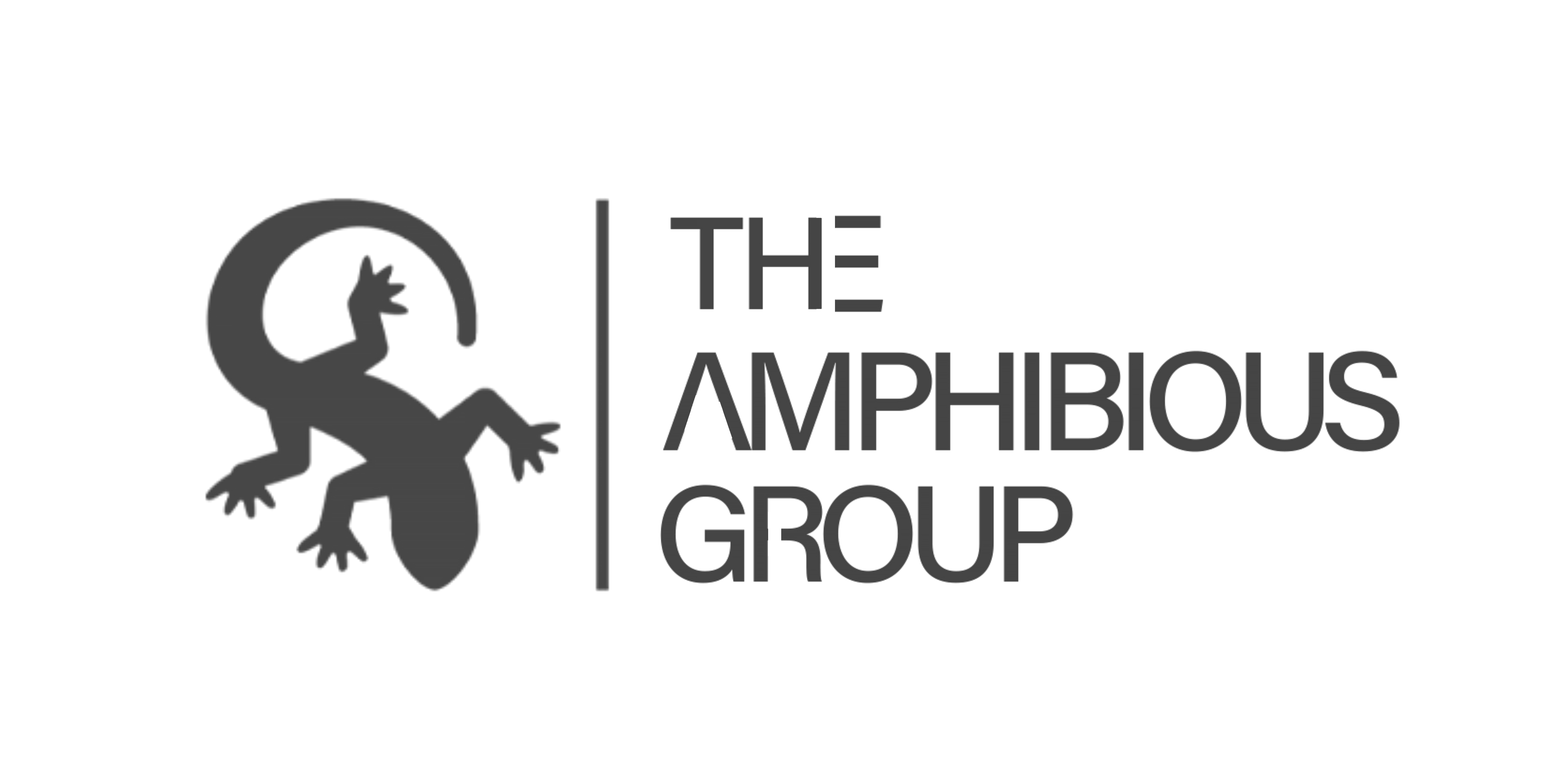 The Amphibious Group Logo.png